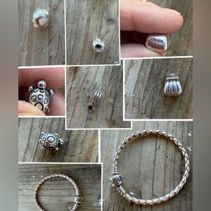 Pandora ret charms mop heart turtle horse shoe and 2 tone bag braided bracelet